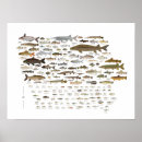 Search for iowa posters Nature