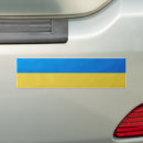 Search for blue bumper Kiev