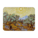 Recherche de oliviers magnets Paysage
