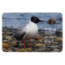 Recherche de écorce magnets Rouge