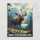 Search for grand teton national park postcards Souvenir