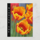 Recherche de tulipe jaune cartes postales Fleurs