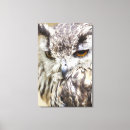 Search for eagle eyes art Wildlife