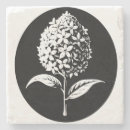 Search for lilac coasters Minimal