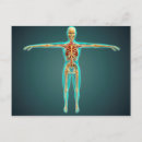 Recherche de système squelettique cartes postales Espace intercostal