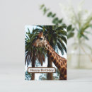 Search for funny giraffes postcards Wildlife