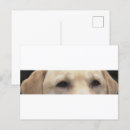 Recherche de laboratoire cartes postales Extracteur