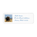 Search for african elephant return address labels Mammal