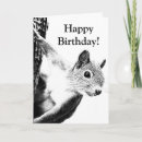 Search for black squirrel cards Black and white