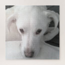 Search for regal puzzles Cute