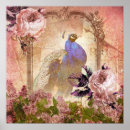 Search for vintage peacock posters Pink