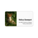 Search for fox labels Woodland