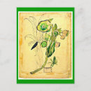 Search for charles rennie mackintosh Vintage