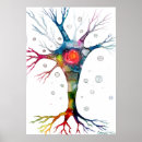 Search for cell biology posters Science