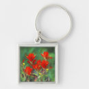 Search for paintbrush keychains Wildflower