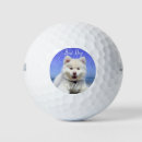 Search for dog golf balls Fun picture