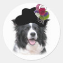 Search for collie border stickers Puppies