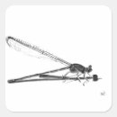Search for flying dragon stickers Nature