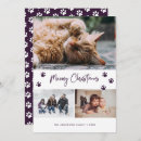 Search for purple paws cards Cute