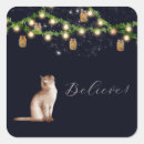 Search for summer cat stickers Kitten