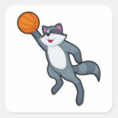Search for racoon stickers Funny