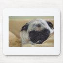 Search for pug mousepads Cute