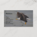 Recherche de oiseau de proie cartes visite Rapaces