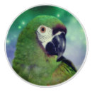 Recherche de perroquets boutons et poignées de porte Vert