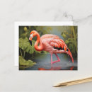 Recherche de dons cartes postales Faune