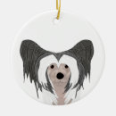 Search for chinese crested dog ornaments Pets