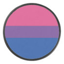 Search for gay hockey pucks Pride