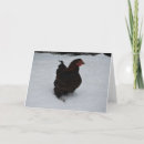 Search for hen christmas cards Chicken