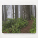 Search for path mousepads Fern