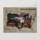 Search for pinto postcards Pony