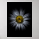 Recherche de vibrant color posters Nature