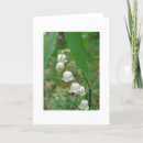 Recherche de muguet vœux cartes Nature