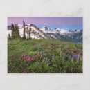Search for cascade mountain postcards Usa