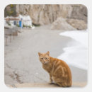Search for side view stickers Domestic animals