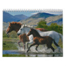 Search for cowgirl calendars Equine