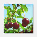 Recherche de cerises rouges magnets Nature