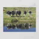 Search for henley postcards New zealand