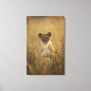 Search for zimbabwe posters Hwange national park