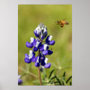 Recherche de fourmi posters Vert