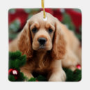 Search for cocker ornaments Cute
