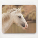 Recherche de mustang sauvage tapis souris Faune