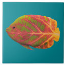 Recherche de poissons tropicaux carreaux Tropical