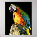 Search for bright colourful posters Teal