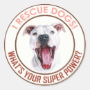 Search for rescue dogs stickers Shelter