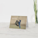 Search for blue jay cards Animal