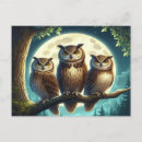 Recherche de petit hibou cartes postales Animal